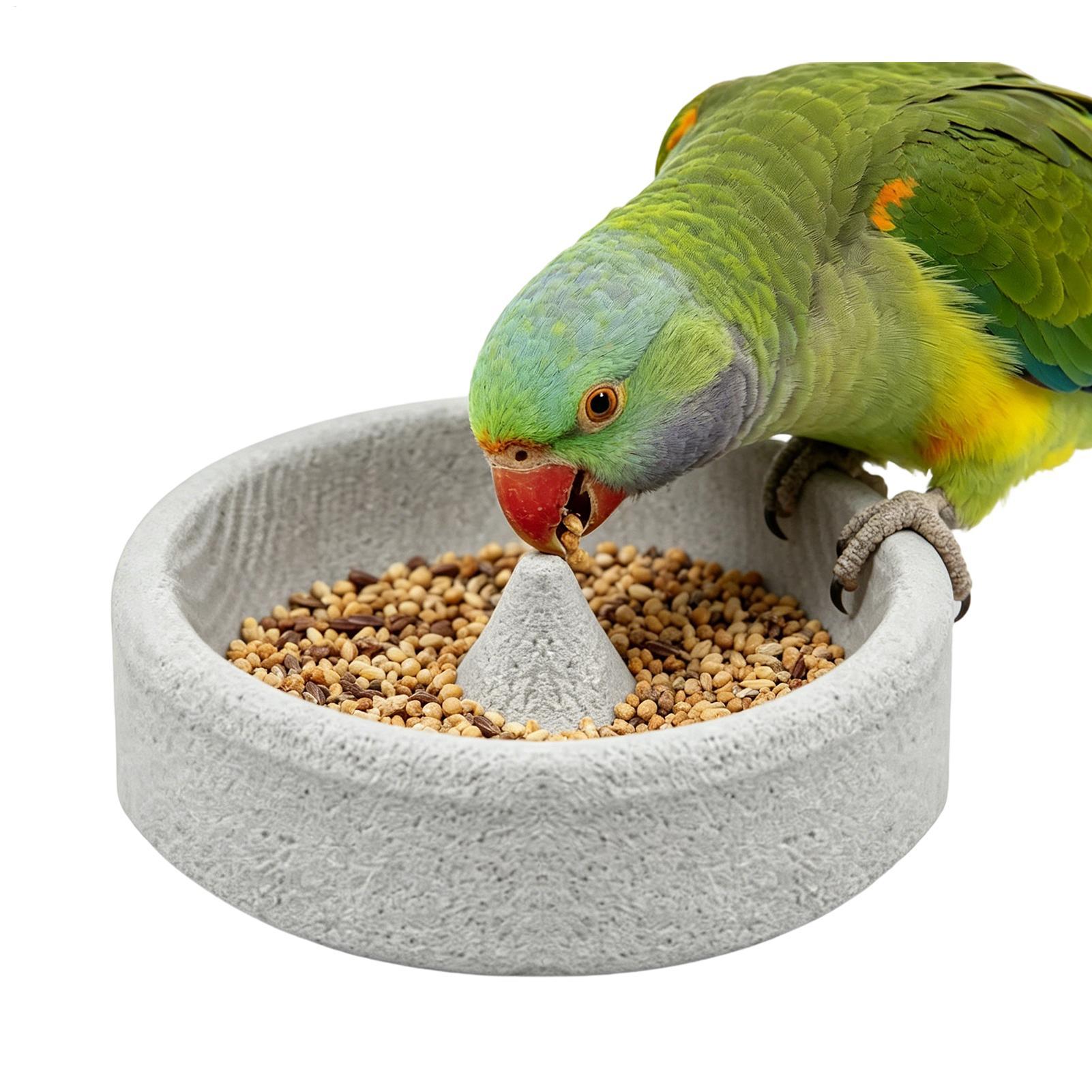 Pumice Stone Bird Feeders for  - Stones Watches & Jewelry In Sweden Ab ulasan dan harga