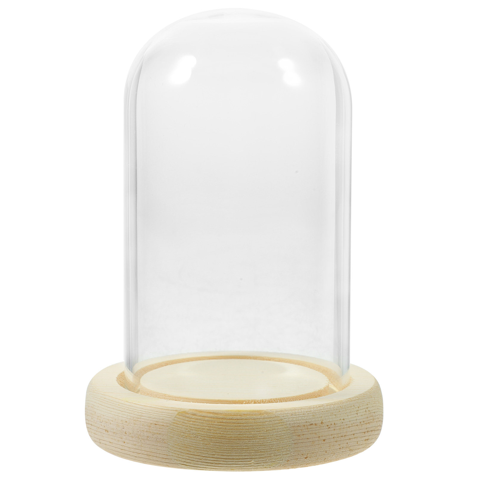 1Pcs Cake Glass Shade Dome Hig - High Jewelry Watches ulasan dan harga